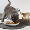 WhiskerFriendly Elevated Ceramic Cat Bowl With AntiTip Stand 1