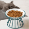 WhiskerFriendly Elevated Ceramic Cat Bowl With AntiTip Stand 2