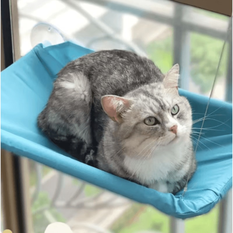 Sunny Window Hanging Cat Hammock Bed With 20kg Capacity 2