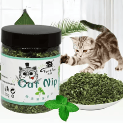 organic mint catnip toy for cats & kittens – natural interactive chew & play toy