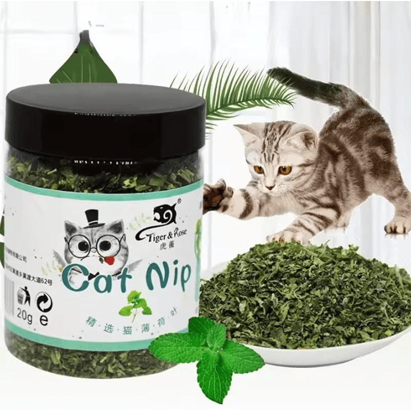 Organic Mint Catnip Toy For Cats Kittens Natural Interactive Chew Play Toy 0
