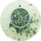Organic Mint Catnip Toy For Cats Kittens Natural Interactive Chew Play Toy 1