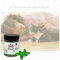Organic Mint Catnip Toy For Cats Kittens Natural Interactive Chew Play Toy 2