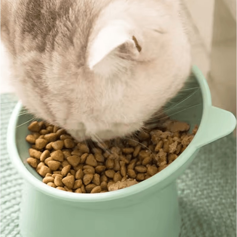Tilted Elevated Pet Food Bowl With AntiSpill Neck Protection Design 2