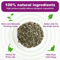 100 Natural Catnip Mint Toy For Cats Kittens Interactive Chew Play Treat 2