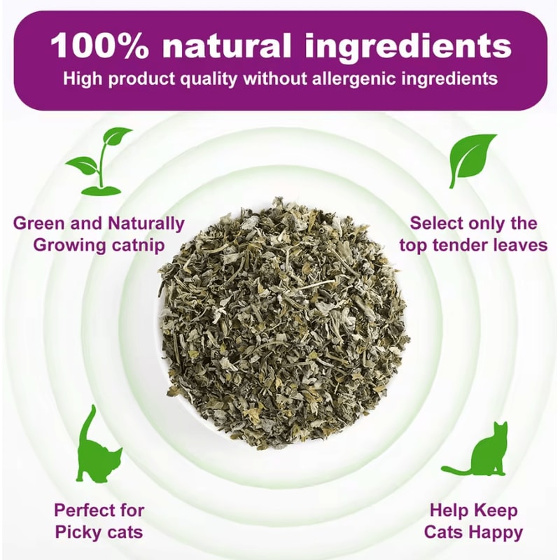 100 Natural Catnip Mint Toy For Cats Kittens Interactive Chew Play Treat 2