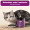 100 Natural Catnip Mint Toy For Cats Kittens Interactive Chew Play Treat 4