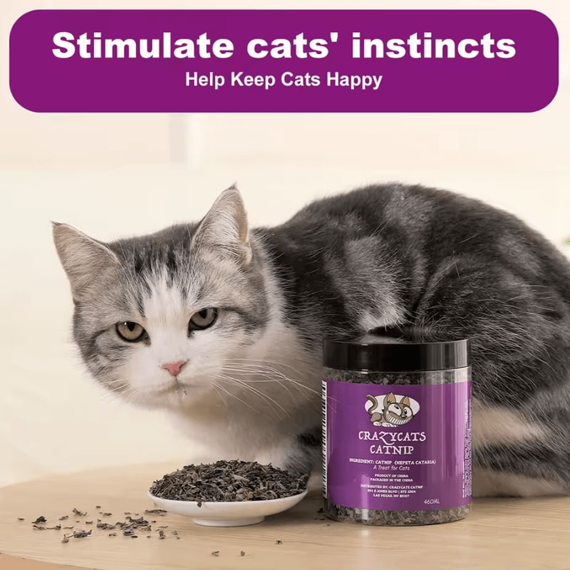 100 Natural Catnip Mint Toy For Cats Kittens Interactive Chew Play Treat 4