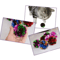 Mylar Crinkle Foil Ball Cat Toys For Interactive Indoor Play 3