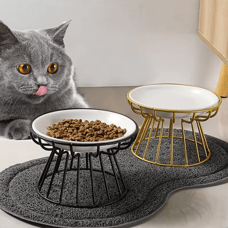 Elevated Metal Stand Cat Bowl For Comfortable Cleaner Feeding 1