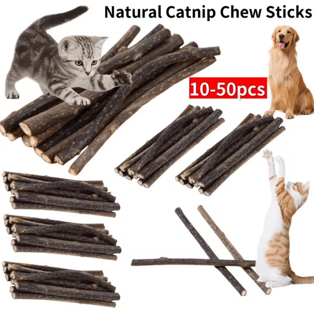 SilverVine Bliss Natural Catnip Sticks For Cats Dental Chew Toys 0