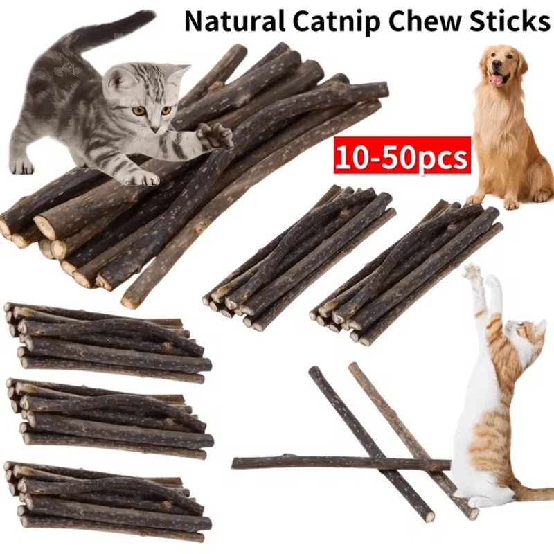 SilverVine Bliss Natural Catnip Sticks For Cats Dental Chew Toys 0