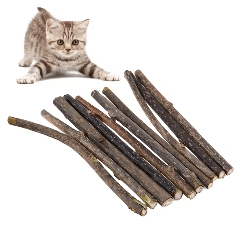 SilverVine Bliss Natural Catnip Sticks For Cats Dental Chew Toys 2