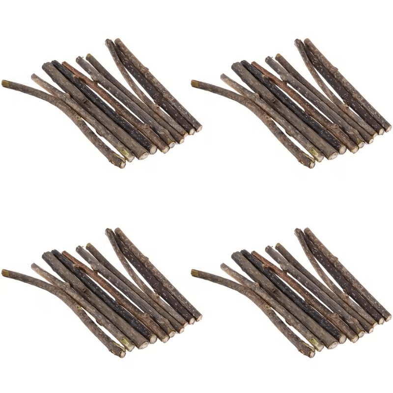 SilverVine Bliss Natural Catnip Sticks For Cats Dental Chew Toys 6