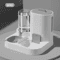 FlowFeast Automatic Pet Feeder And Water Dispenser Combo 3