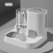 FlowFeast Automatic Pet Feeder And Water Dispenser Combo 3