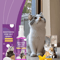 CalmPaws Cat Pheromone Calming Spray For Stress Relief 3