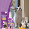 CalmPaws Cat Pheromone Calming Spray For Stress Relief 3