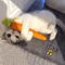 CrunchyCarrot Interactive Cat Chew Scratch Toy 0