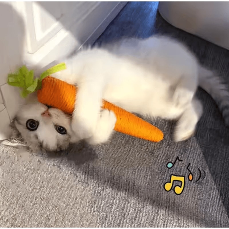 CrunchyCarrot Interactive Cat Chew Scratch Toy 0