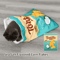 CozyBurrow Collapsible Cat Tunnel With Plush Ball Toy 3