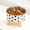 DottiePaws Stainless Steel Pet Food Water Bowl 0