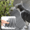 ShieldPaws AntiClimb Pet Spike Protection Mat 1