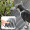 ShieldPaws AntiClimb Pet Spike Protection Mat 1