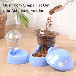 mushroomflow automatic pet feeder & water dispenser set