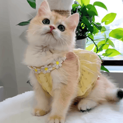 sunbloom floral princess dress for cats & small dogs