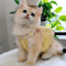 SunBloom Floral Princess Dress For Cats Small Dogs 0