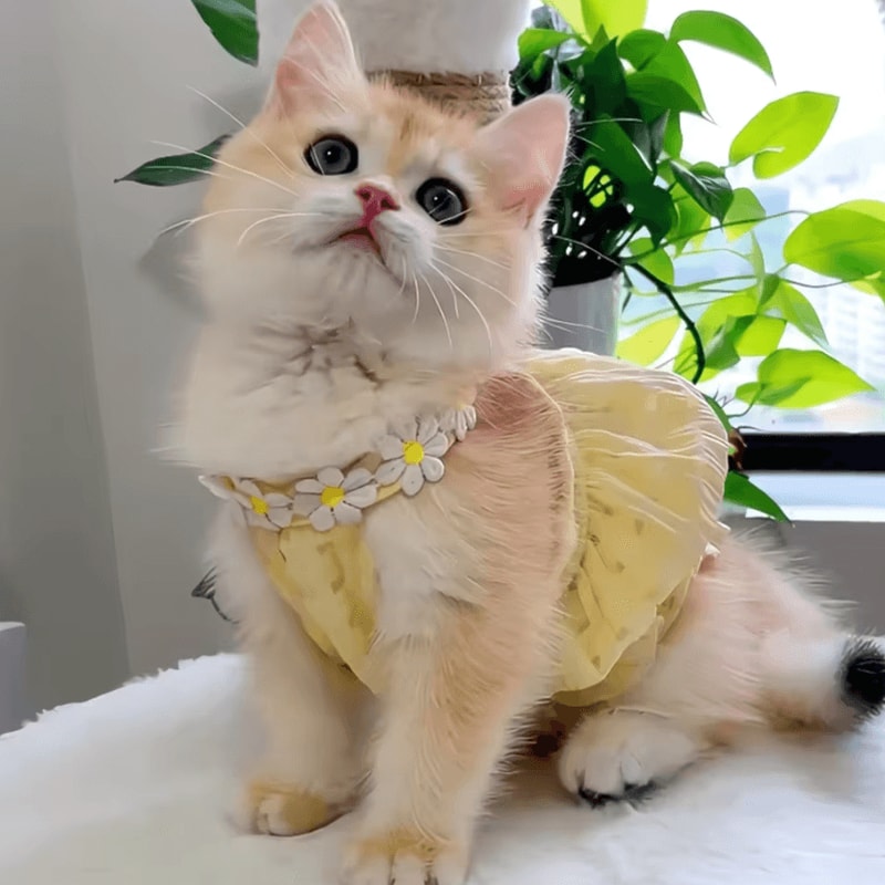 SunBloom Floral Princess Dress For Cats Small Dogs 0