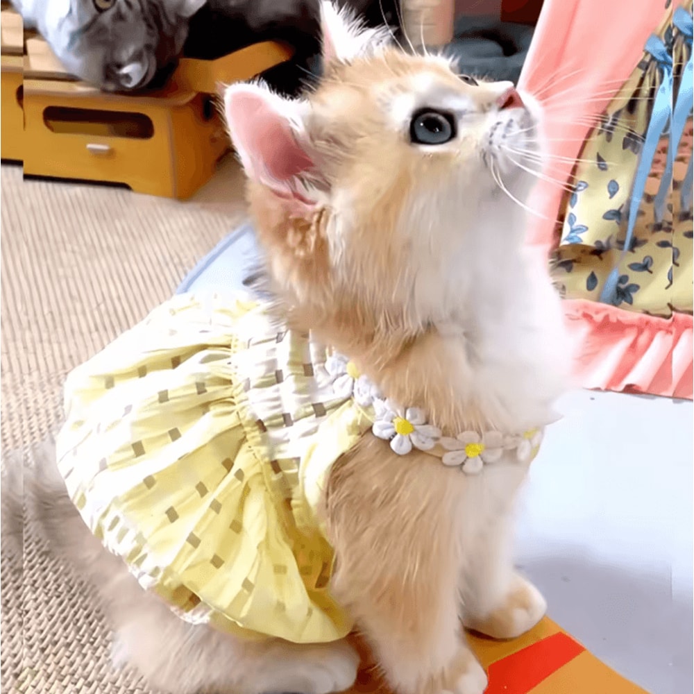 SunBloom Floral Princess Dress For Cats Small Dogs 5