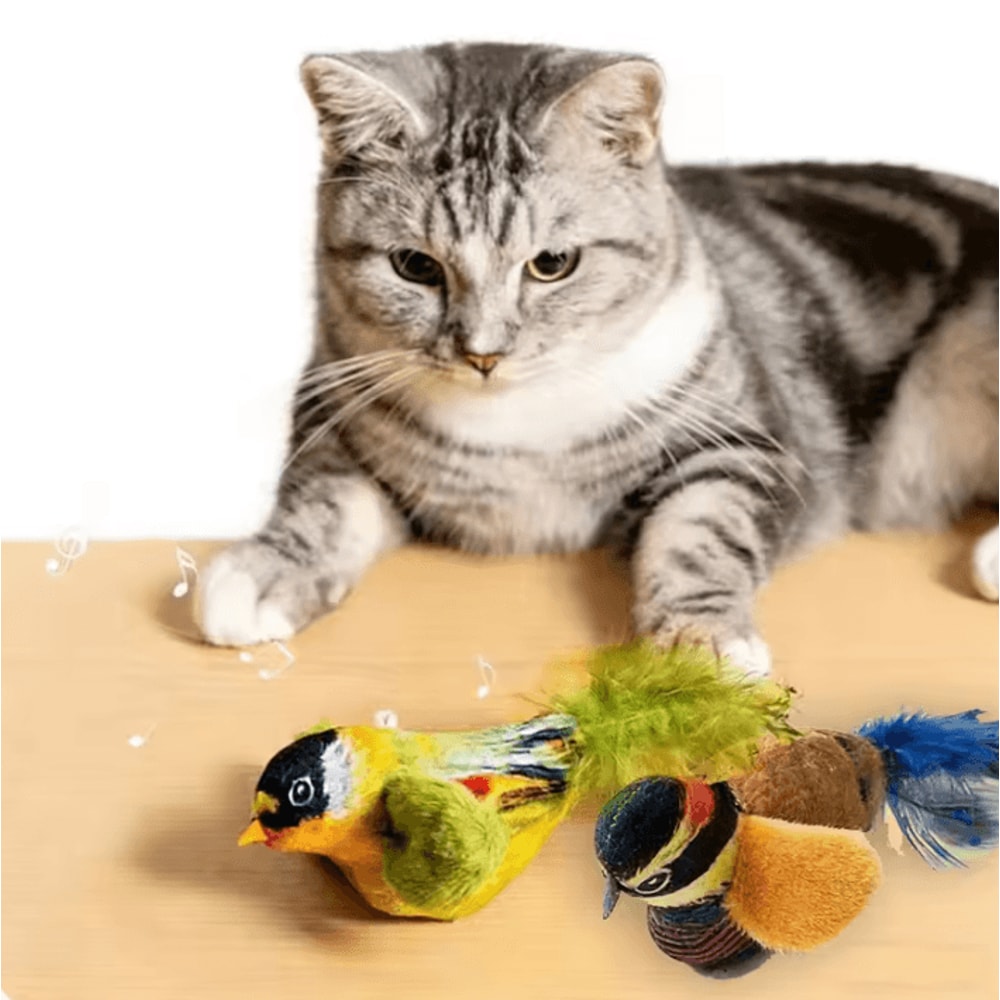 ChirpyBounce Interactive Bird Cat Teaser Toy 0