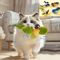 ChirpyBounce Interactive Bird Cat Teaser Toy 1