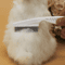 GentleGuard FineTooth Flea Grooming Comb For Cats Small Dogs 1