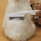 GentleGuard FineTooth Flea Grooming Comb For Cats Small Dogs 1