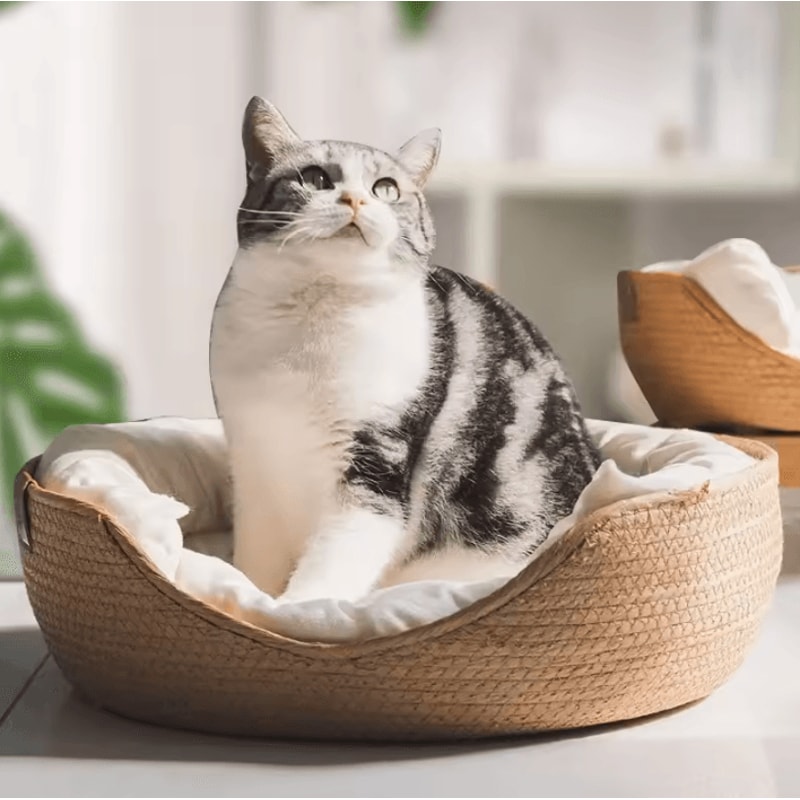 BambooHaven AllSeason Cozy Pet Sofa Bed 1