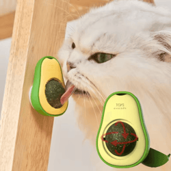 purrfresh natural catnip ball toy & cat grass treat