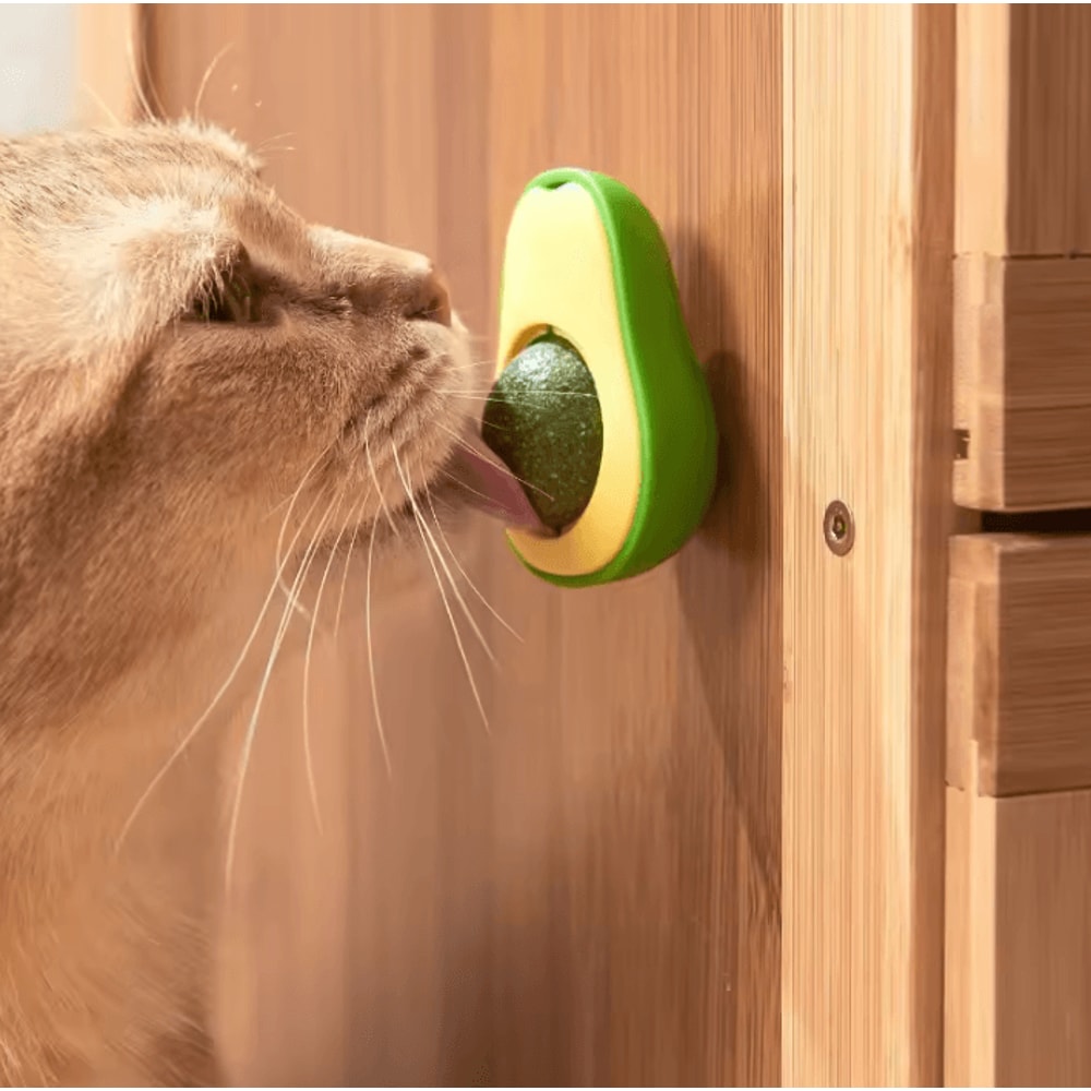 PurrFresh Natural Catnip Ball Toy Cat Grass Treat 1