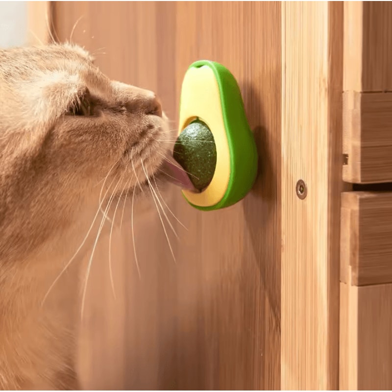 PurrFresh Natural Catnip Ball Toy Cat Grass Treat 1