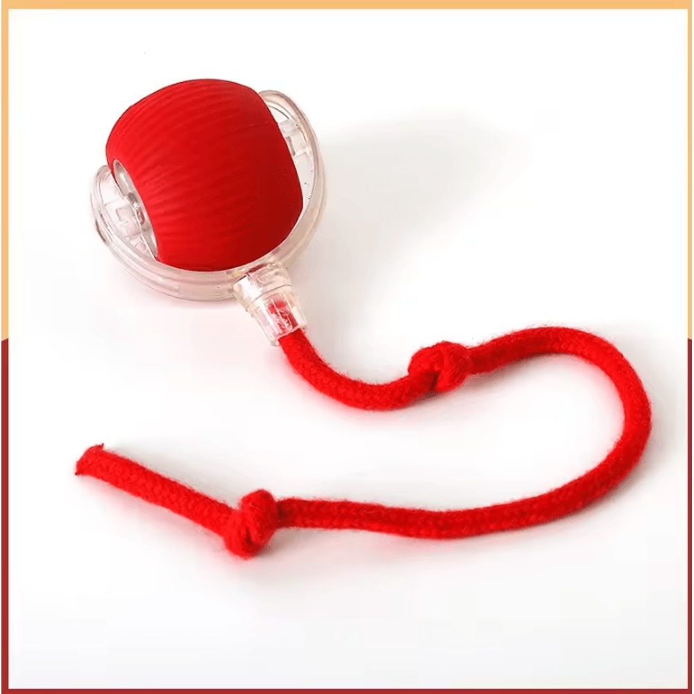 ChaseTail Interactive Cat Ball Toy With Smart Rolling Motion 3
