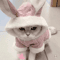 SnugglePaws Warm Cat Clothes For Hairless Cats Small Dogs 0