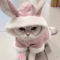 SnugglePaws Warm Cat Clothes For Hairless Cats Small Dogs 0