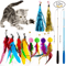 FeatherWand Interactive Cat Wand Toy Set With Tassel Feather Refills 0