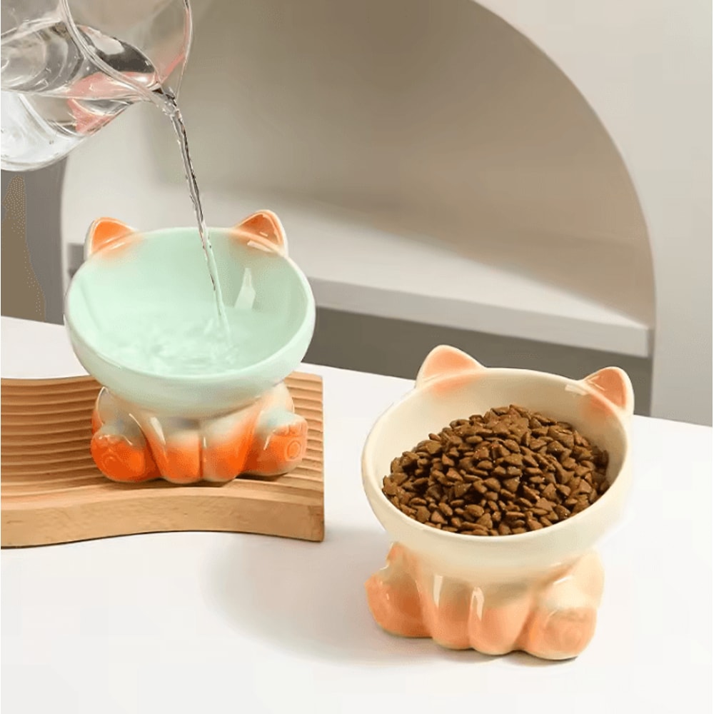 AuraTilt Elevated Ceramic Cat Bowl With Slanted Design 2