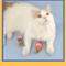 MouseMischief Plush Mouse Cat Toy For Interactive Indoor Play 2