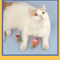 MouseMischief Plush Mouse Cat Toy For Interactive Indoor Play 2