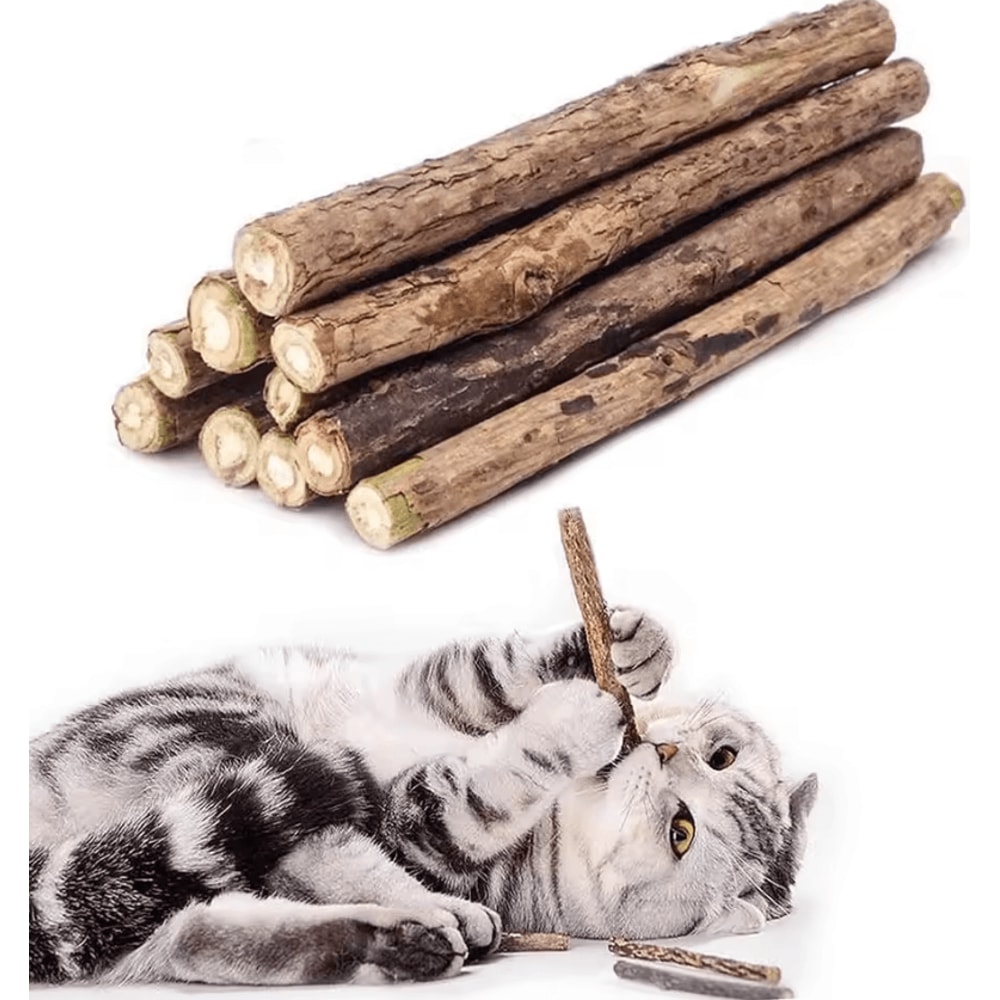 SilverMint Silvervine Cat Chew Sticks For Dental Care Stress Relief 0