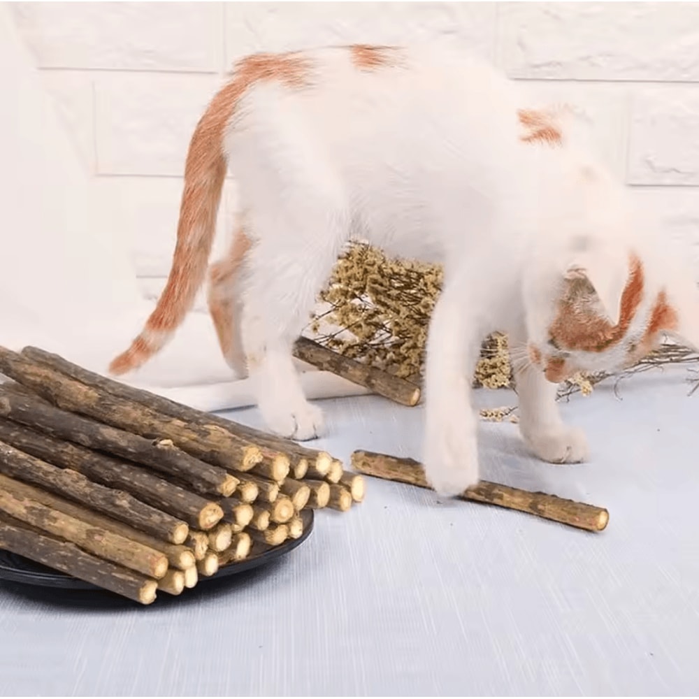 SilverMint Silvervine Cat Chew Sticks For Dental Care Stress Relief 1